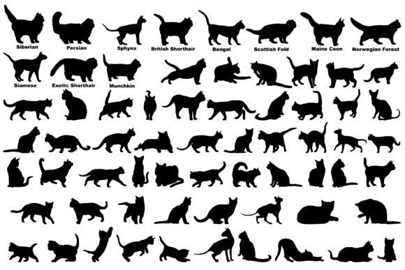 Cat Silhouette Cat Breeds SVG Review